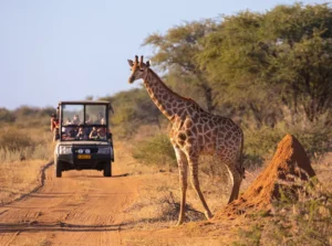 Tourist and Archaeological Sites in Kenya 2026